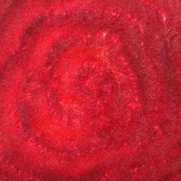 Texture macro sliced beet. Closeup food background